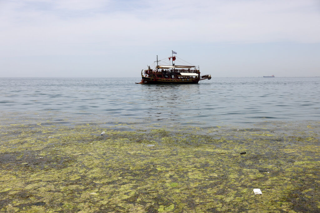 Θεσσαλονίκη: «Πρασίνισε» ο Θερμαϊκός Κόλπος – Πού οφείλεται το φαινόμενο