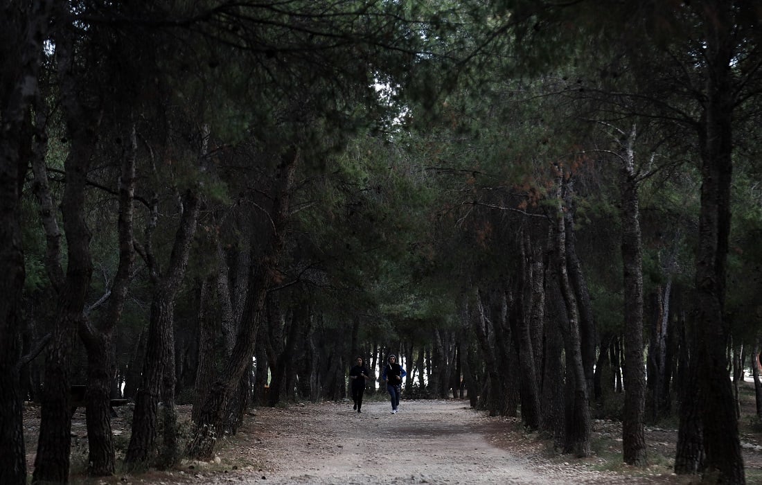 Εμπρησμός – Πετρούπολη: Ποινική δίωξη για δύο κακουργήματα σε 47χρονο που συνελήφθη για εμπρησμούς