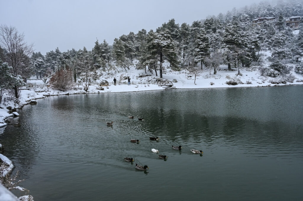 Meteo 31/01: Χιόνια στα ορεινά της Αττικής την Τετάρτη – Σε αποδρομή η κακοκαιρία «Αυγή»