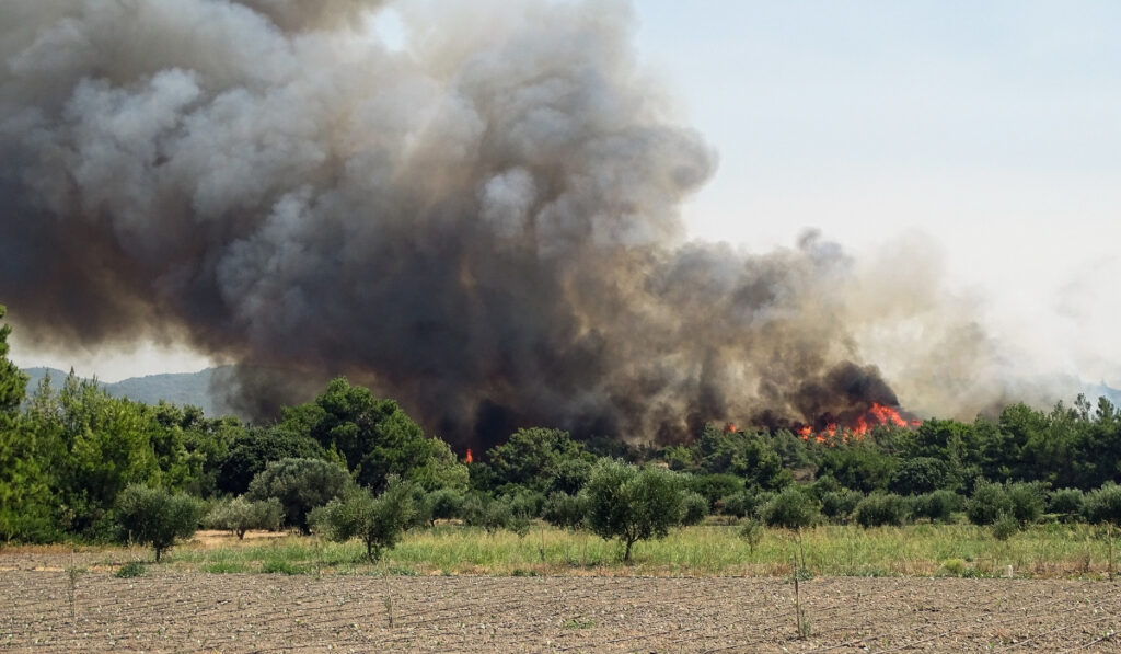 Σε εξέλιξη η φωτιά στη Ρόδο – Σε ύφεση σε Έβρο, Αγρίνιο, Αχαΐα