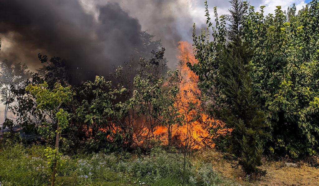 Φωτιά τώρα κοντά στον οικισμό Φροσύνη, στη Θεσπρωτία