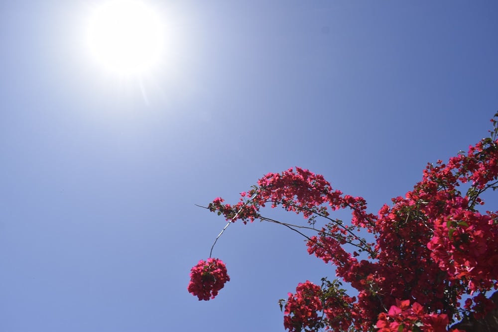 Ο καιρός αύριο Τετάρτη 8/7/2020