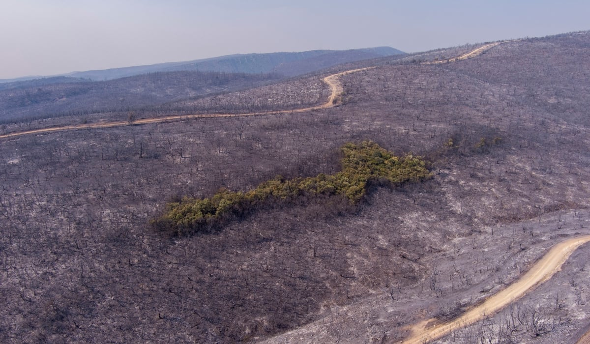 Χωρίς ενεργά μέτωπα η φωτιά στον Έβρο – Στάχτη 935.000 στρέμματα