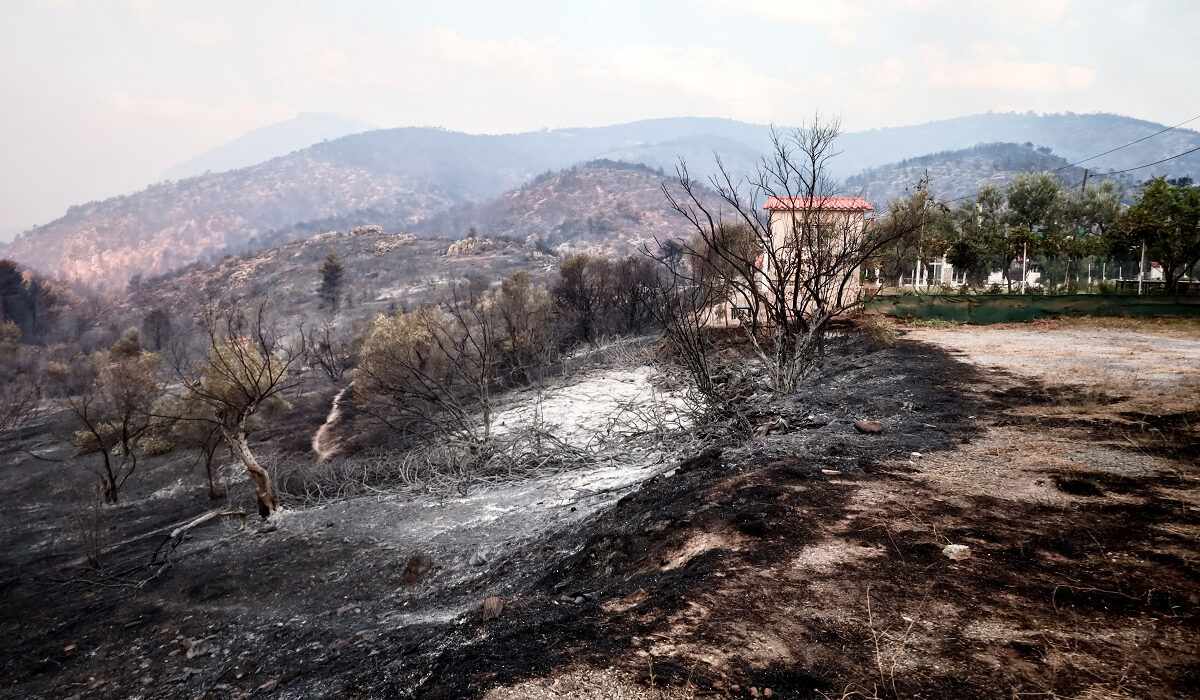 Μαξίμου: Προσπαθεί να κρύψει την ανικανότητά του εφευρίσκοντας παντού… ξένους πράκτορες