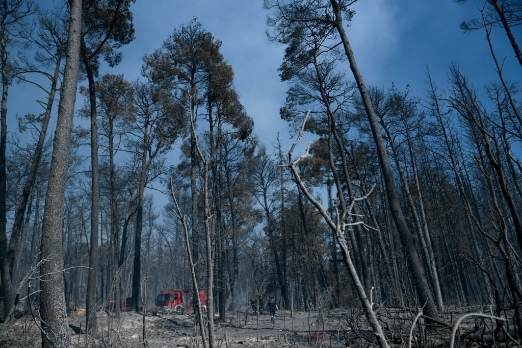 Φωτιές: Προκαταρκτική έρευνα για δικηγόρο που «προσευχόταν» να καούν Εκάλη και Καστρί