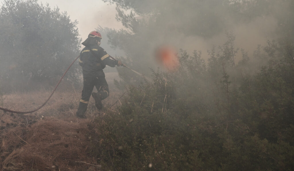 Φωτιά τώρα στην Εύβοια