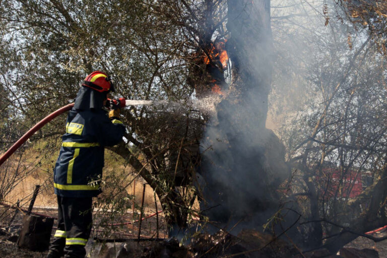 Η Πυροσβεστική επιχειρεί σε φωτιά στη Θεσπρωτία